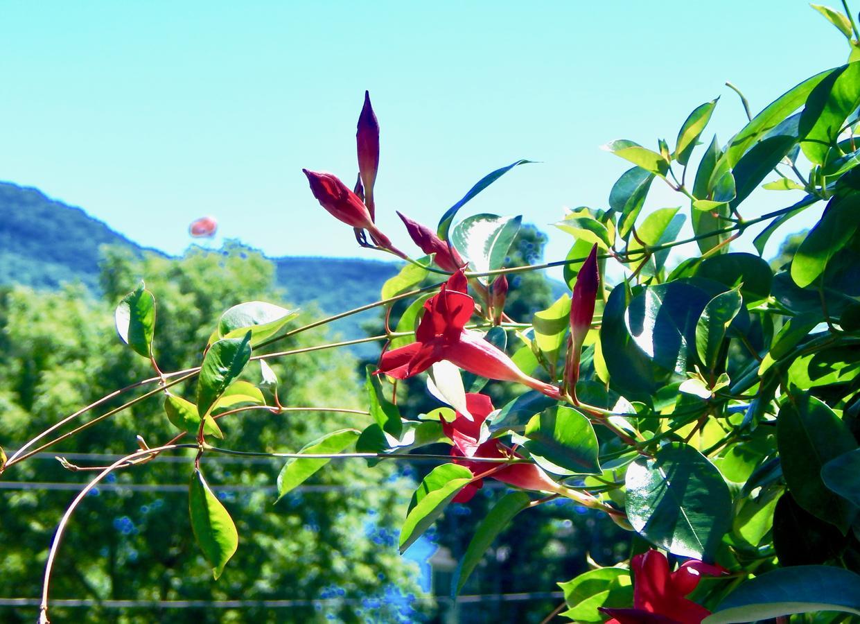 Inn On The Hill Lake George Esterno foto